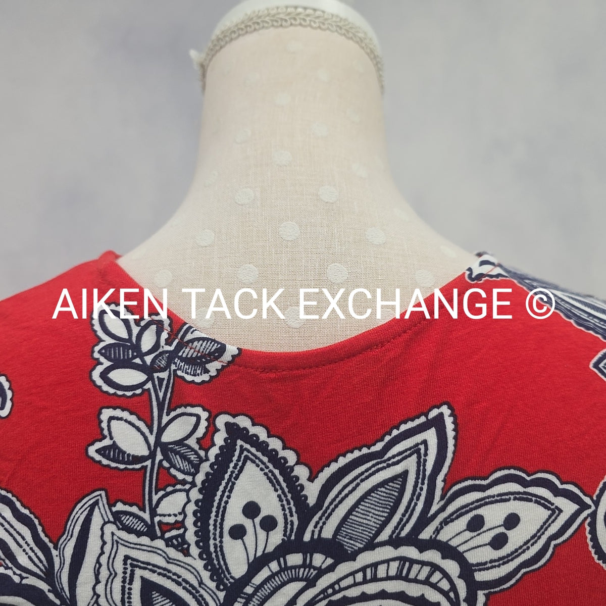 Venus T-Shirt Dress, Size X-Small