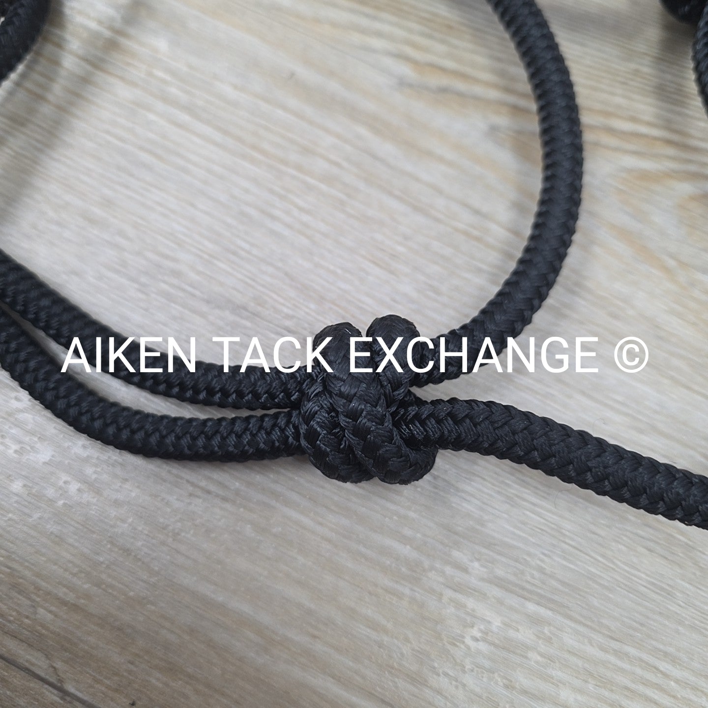 Rope Halter with Lead