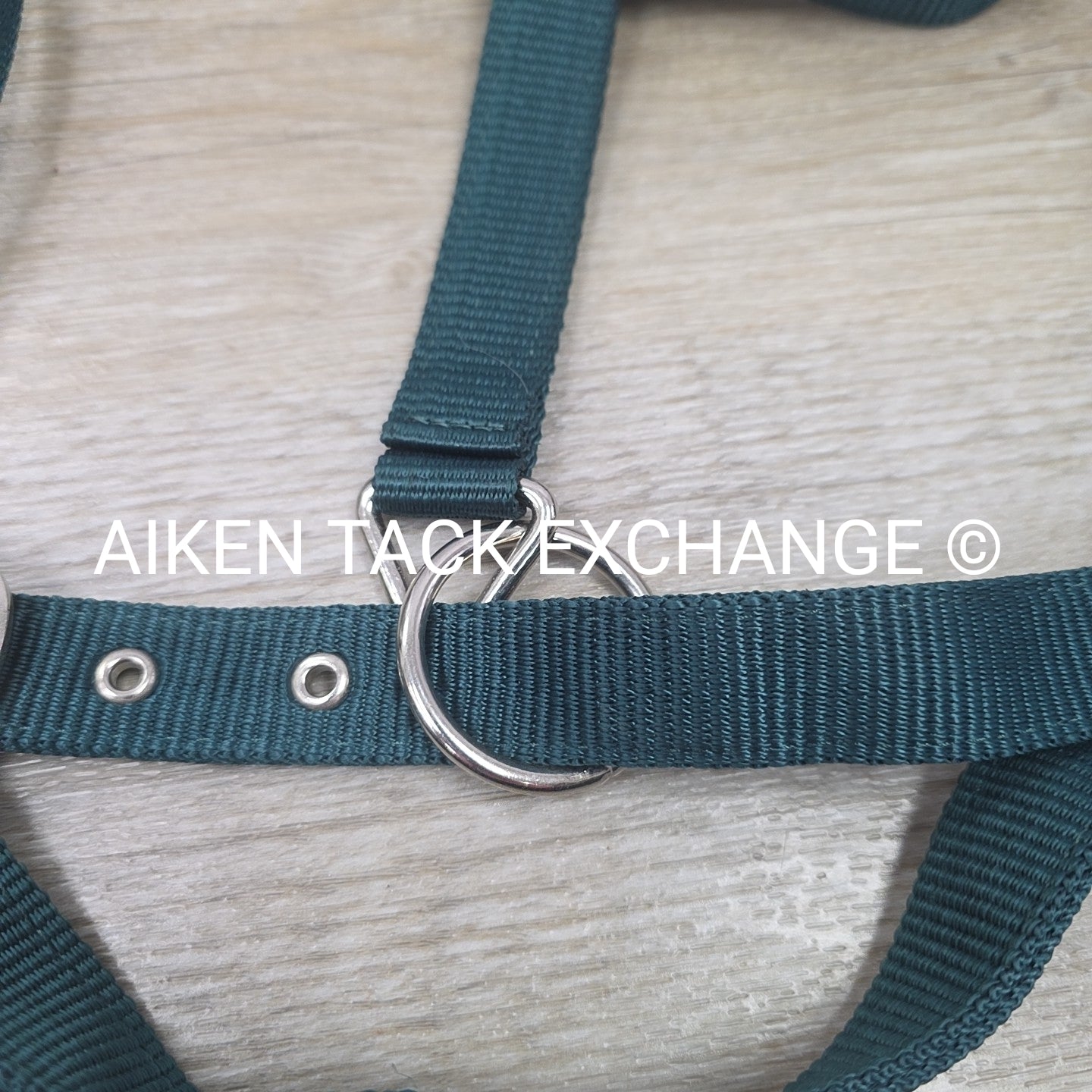 Gatsby Adjustable Nylon Halter, Size Full