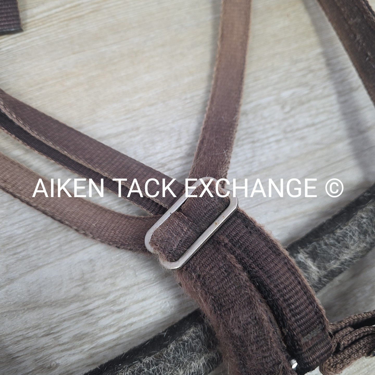 GreenGuard Premium Breakaway Halter, Cob