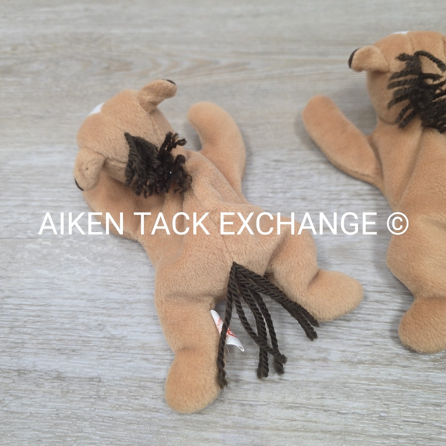 BARGAIN BUNDLE: 2 Derby the Horse Beanie Babies