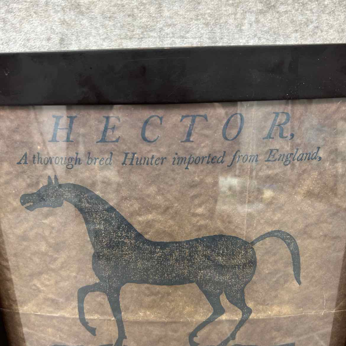 Hector by William Yates Decor