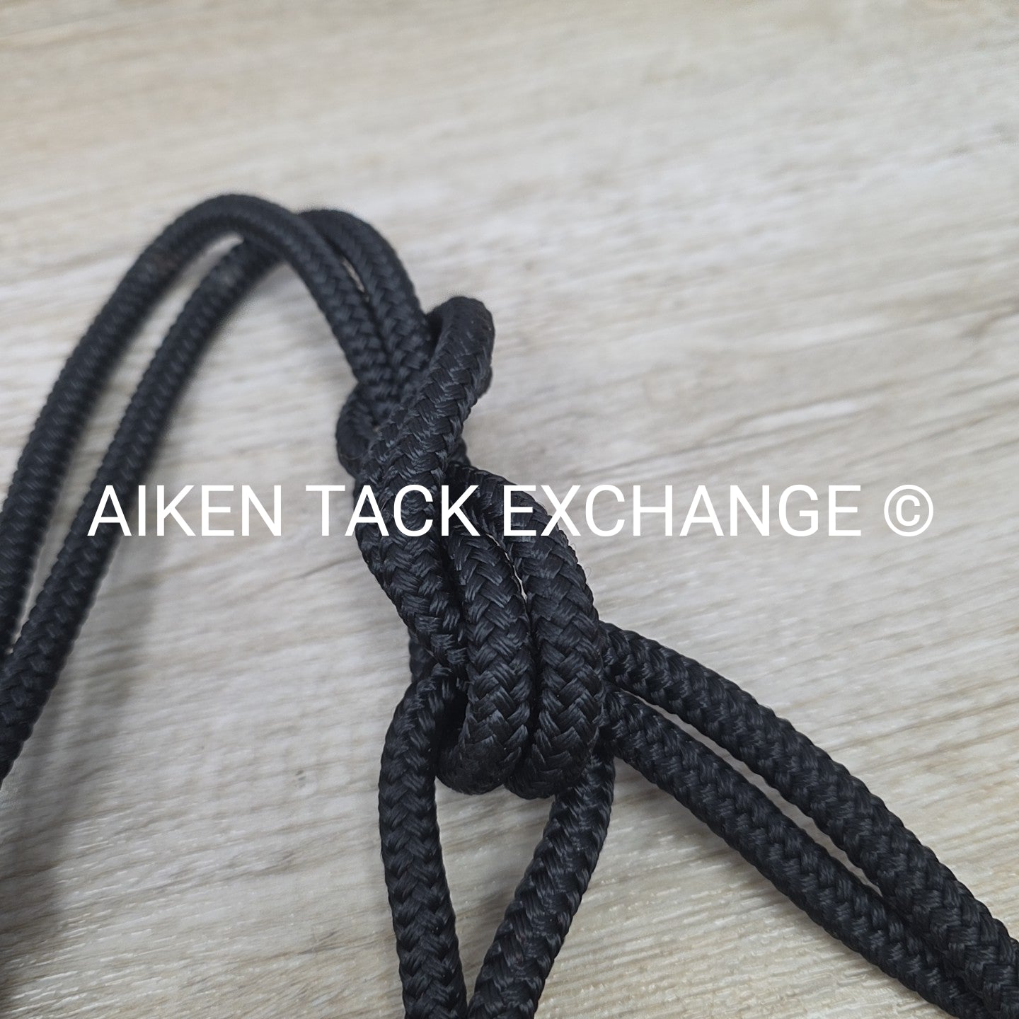 Rope Halter with Lead