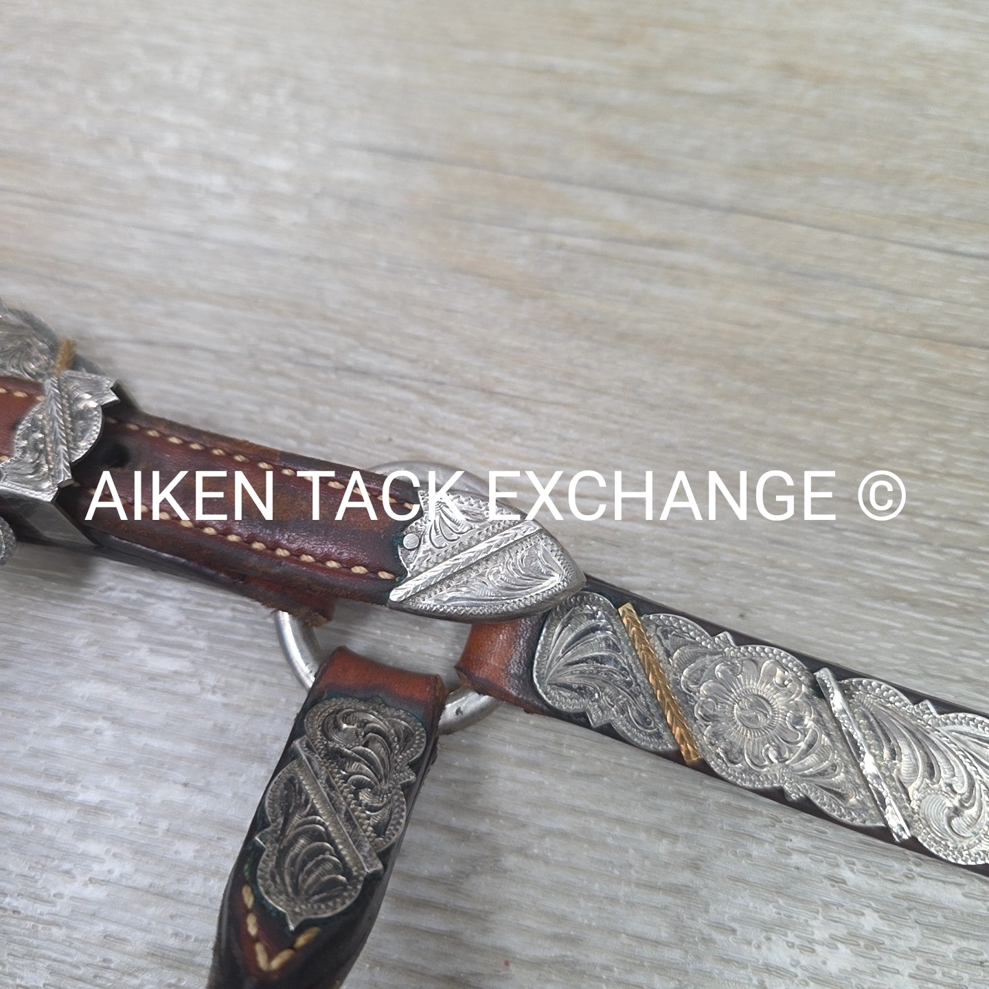 Western Show Halter, Size Foal