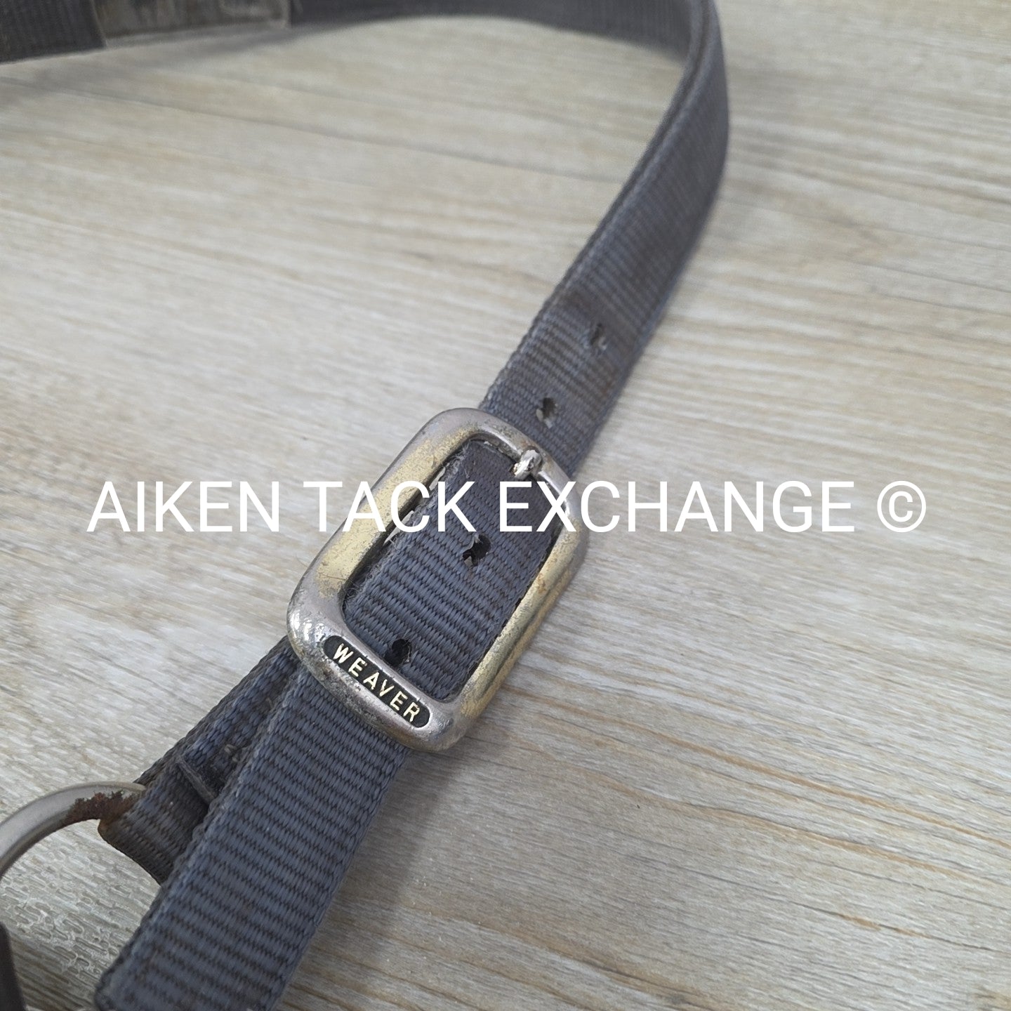 BARGAIN BUNDLE 4 Weaver Leather Nylon Halters, Size Large Horse