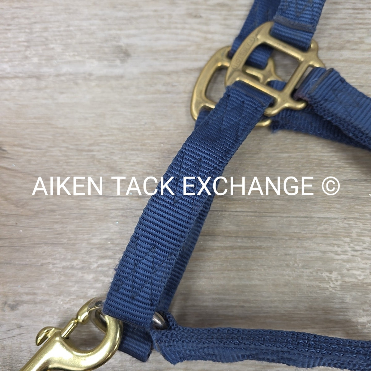 Hamilton Nylon Halter & Lead, Large Horse