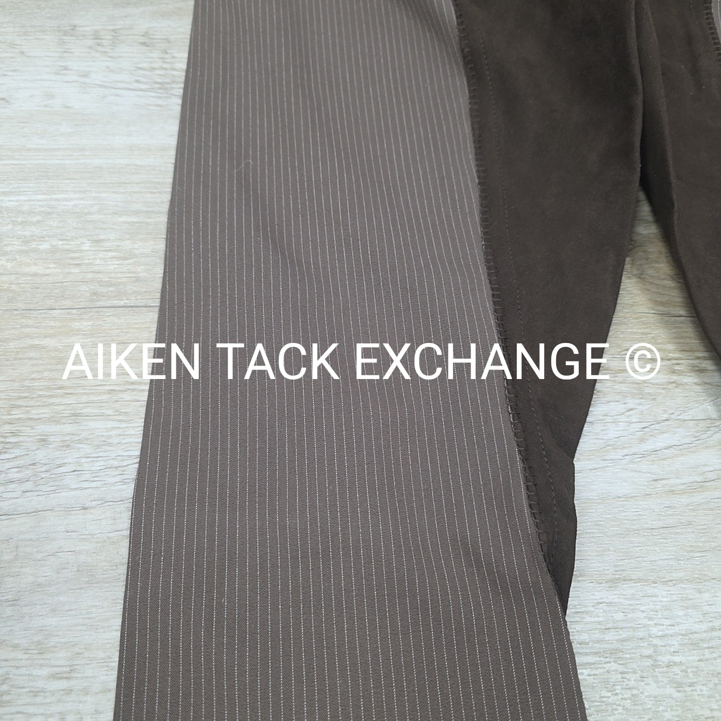 Golden Dress Da Champ Full Leather Seat Breeches, Women's 30 Long