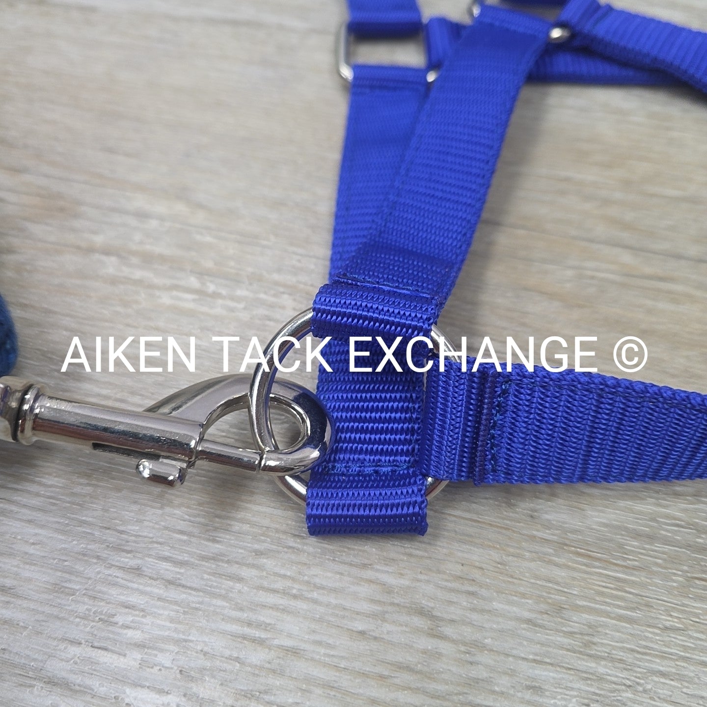 TuffRider Breakaway Nylon Halter & Lead Rope Set, Blue, Size Full