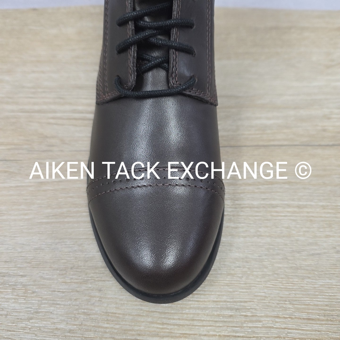 Ariat Heritage III Laced Paddock Boots, Brown, Brand New, Women's 6.5 B