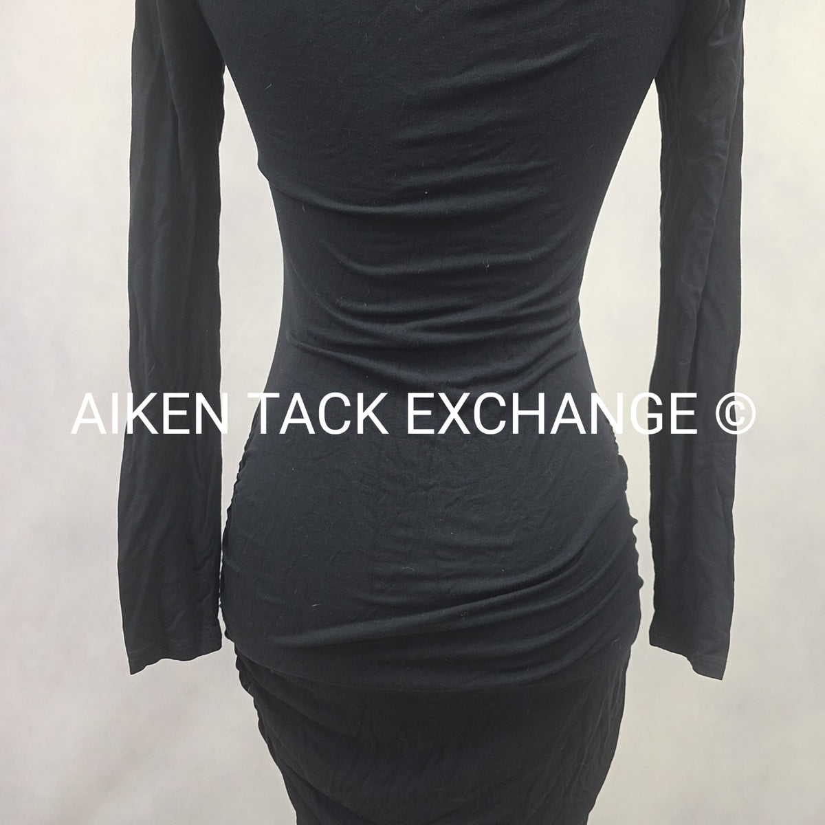 Venus Long Sleeve Dress, Size X-Small