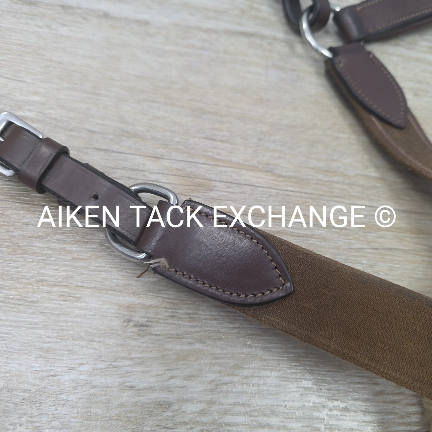 HDR Pro 5 Point Elastic Breastplate, Brown, Size Full