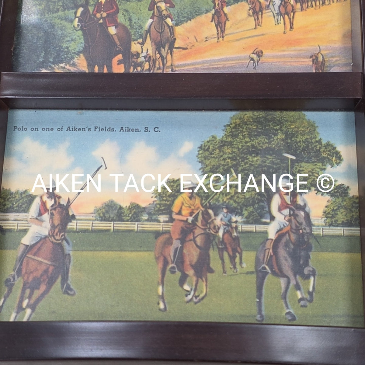Aiken Equestrian Collage, 6" x 11"