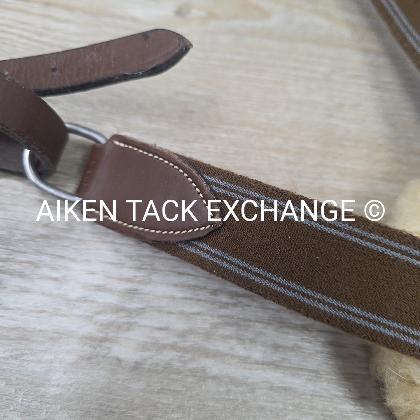 HDR Pro 5 Point Elastic Breastplate, Brown, Size Full