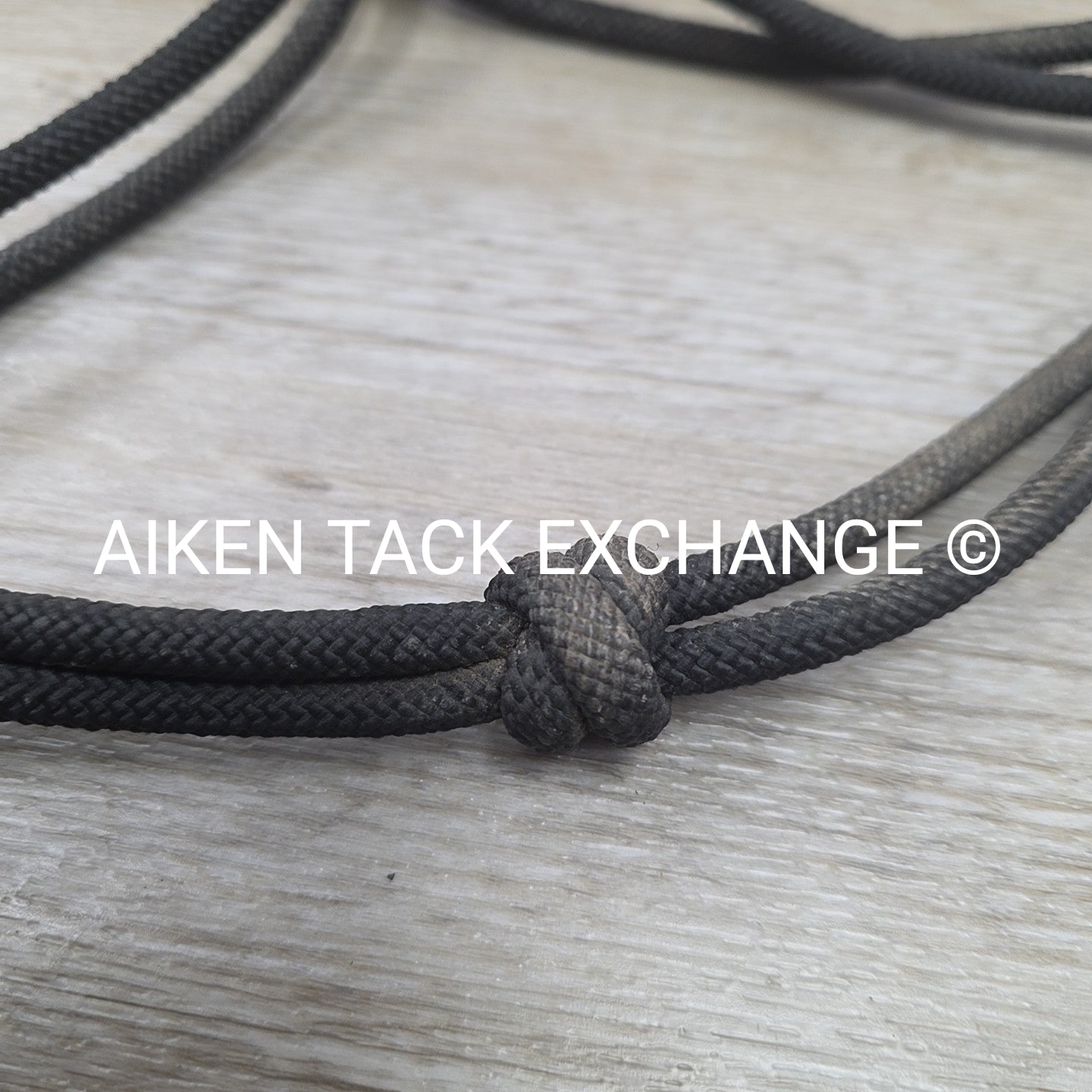 Weaver Leather Silvertip Tope Halter with Lead