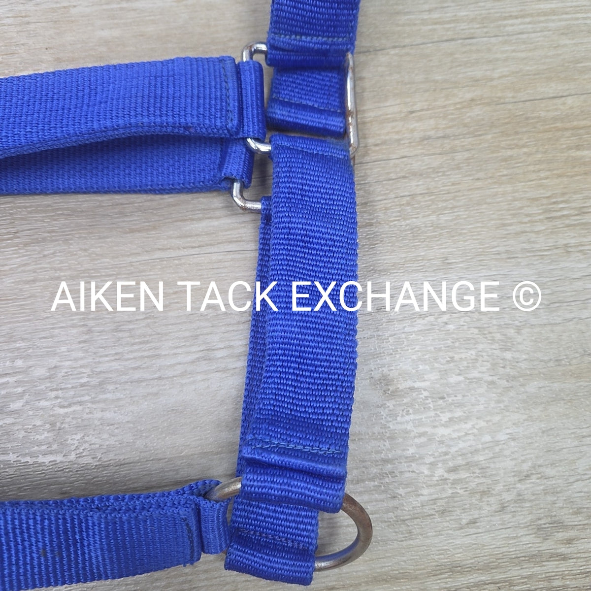 Nylon Halter, Draft