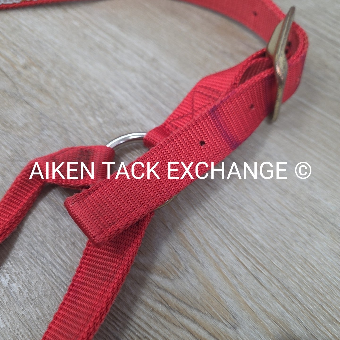 BARGAIN BUNDLE: Nylon Halter, Large, Nylon Halter Missing Crown, Full & Lead Rop