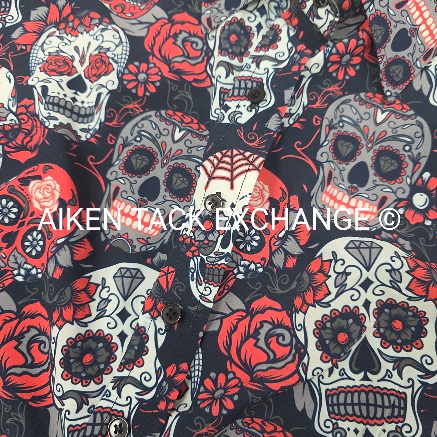 Royal Highness Long Sleeve Collared Shirt, Size Large