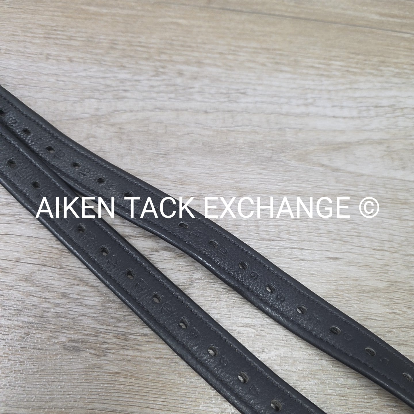 Passier Nylon Lined Stirrup Leathers, Black, 63"