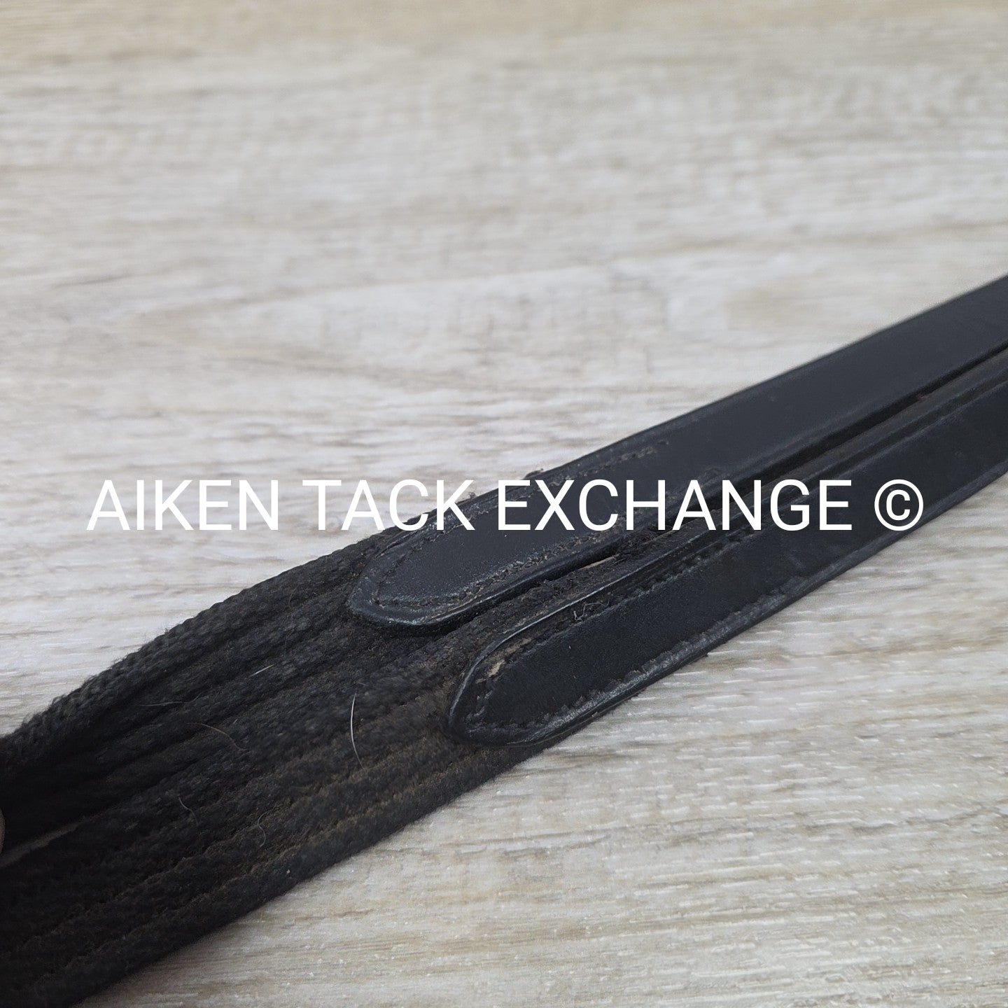 Cotton Web Reins, Black, 58"