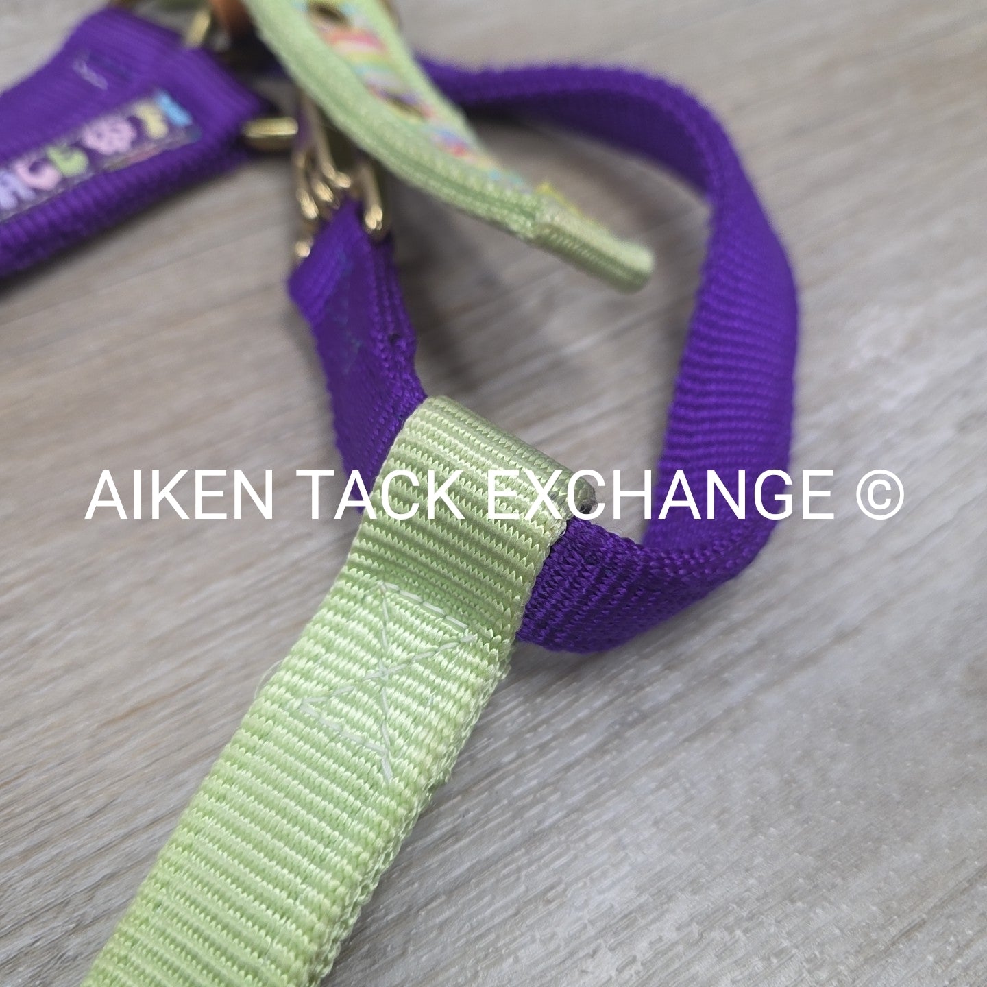 Perri's Nylon Breakaway Halter w/ Cotton Lead Rope, Size Cob