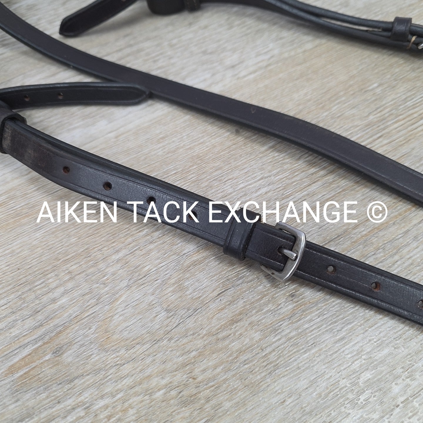 Flat Adjustable Breastplate with Standing Martingale Attachment, Brown, Cob
