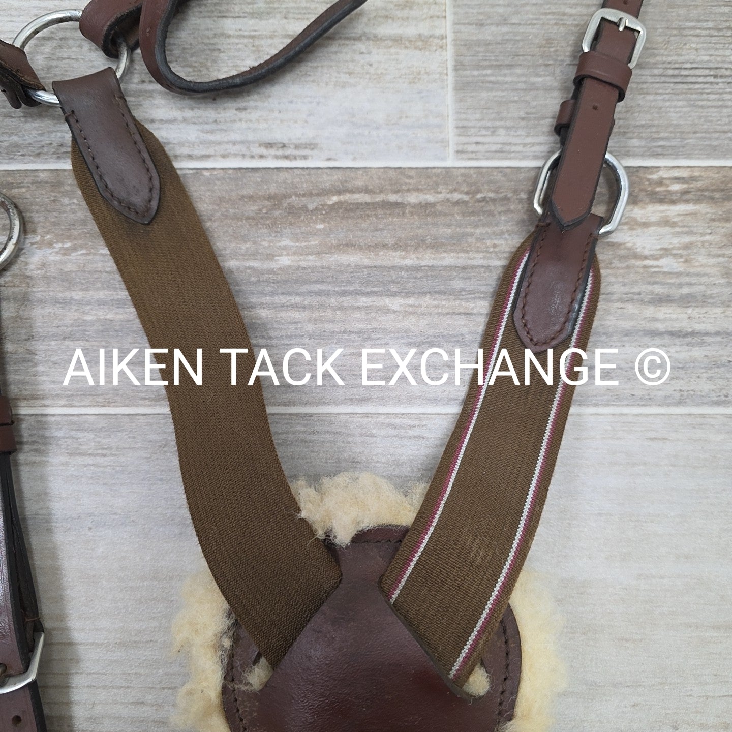 5 Point Breastplate with Running Martingale Attachment, Brown, Size Full