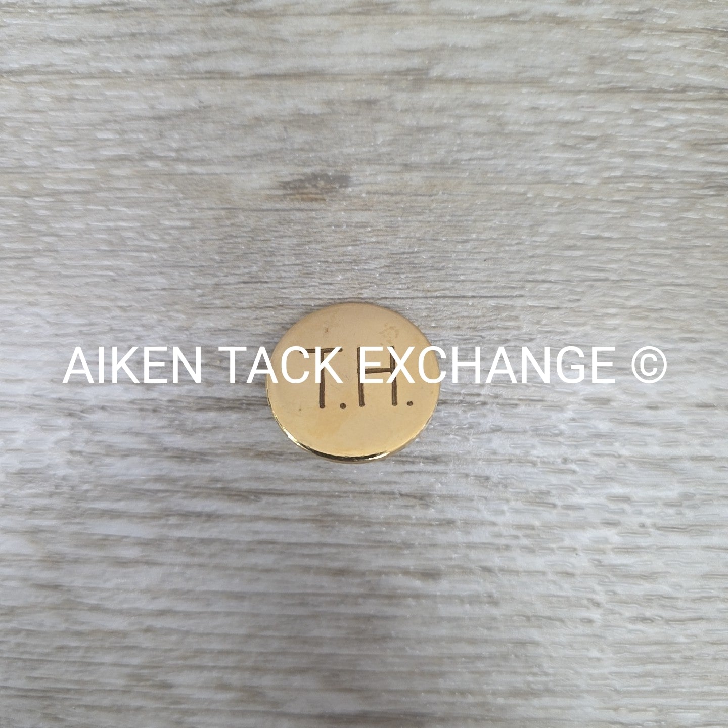 Tryon Hounds Brass Button, Large