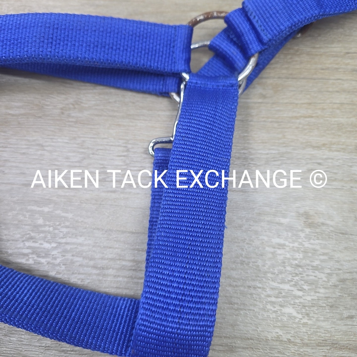 Nylon Halter, Draft