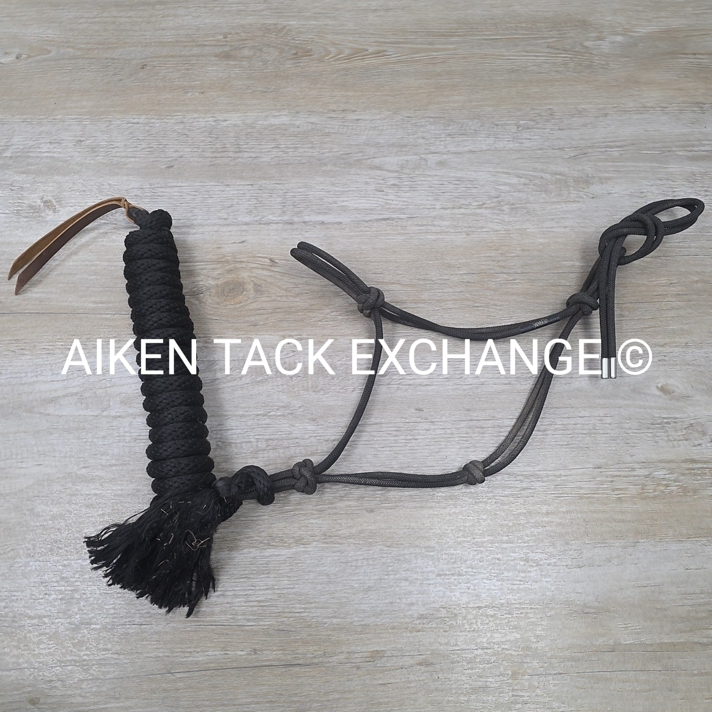 Weaver Leather Silvertip Tope Halter with Lead