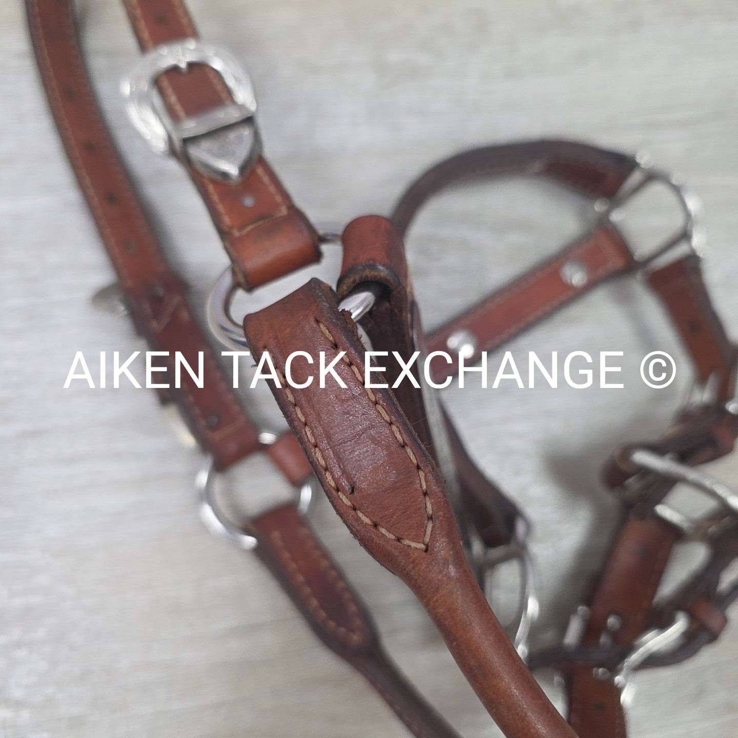 Western Show Halter, Size Foal