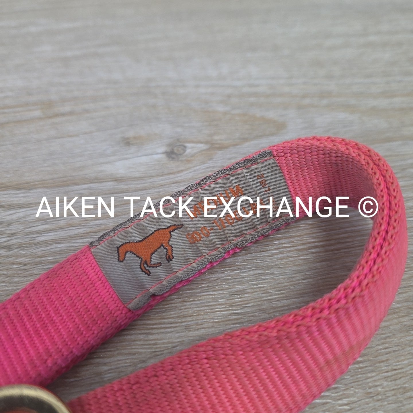 BARGAIN BUNDLE: 2 Nylon Halters & 2 Lead Ropes