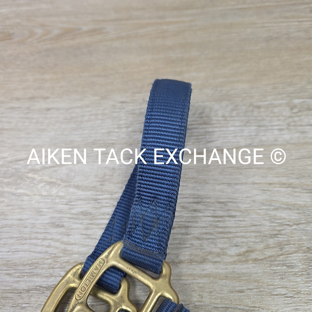 Hamilton Nylon Halter & Lead, Large Horse