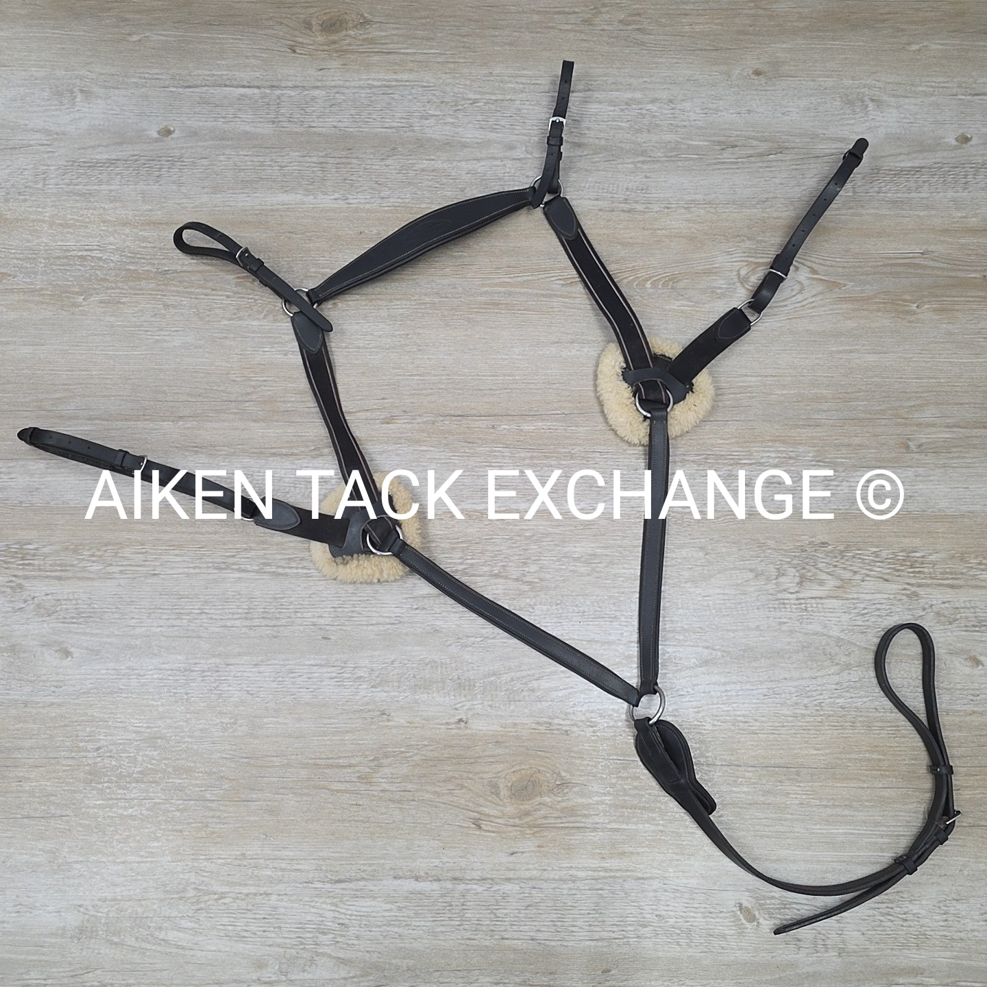 HDR 5 Point Elastic Breastplate, Black, Size Full