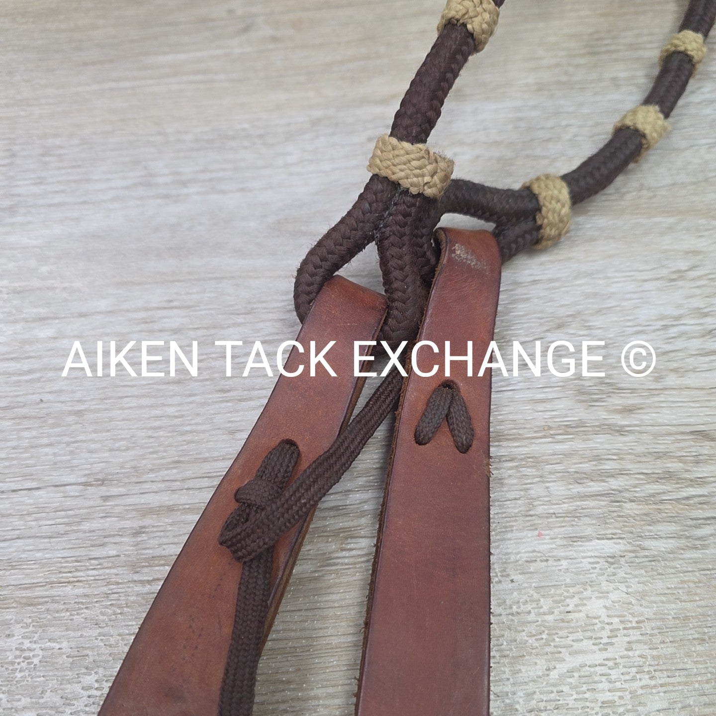 Romel Reins