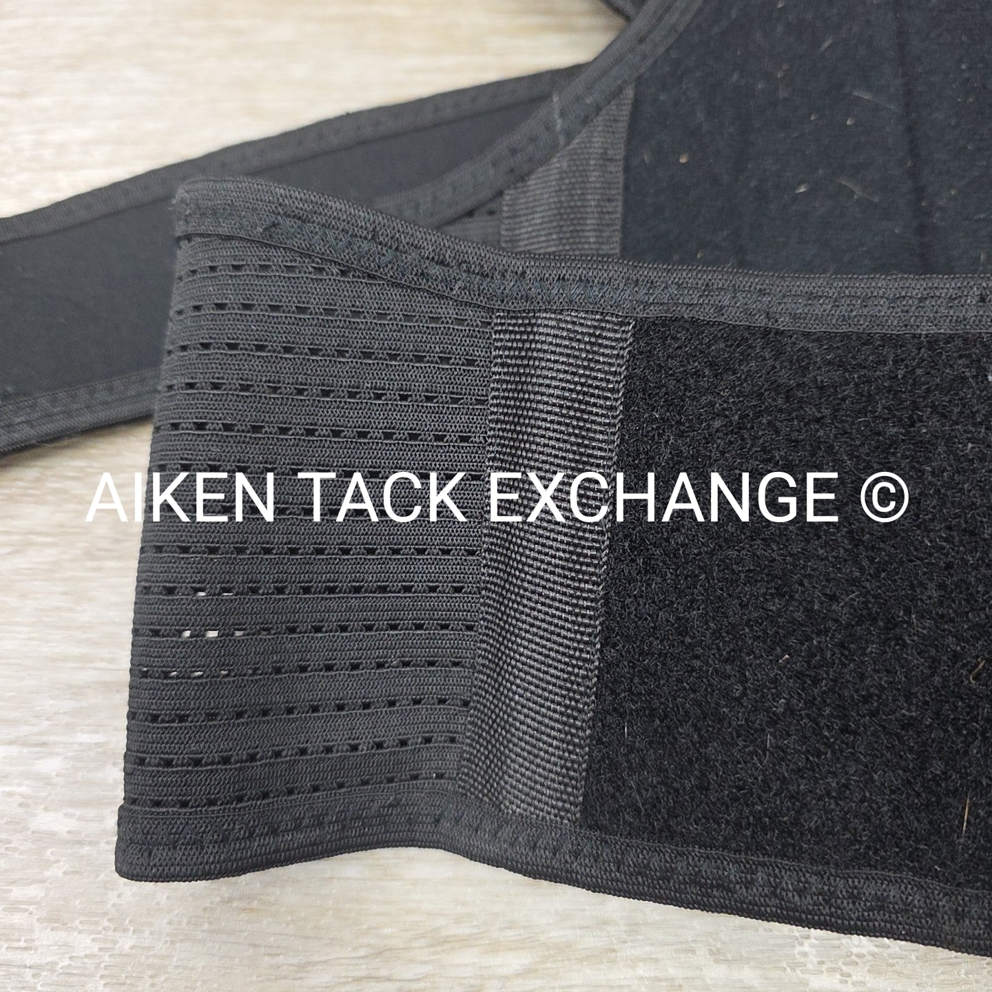 Equestorian Back Brace, Size Large