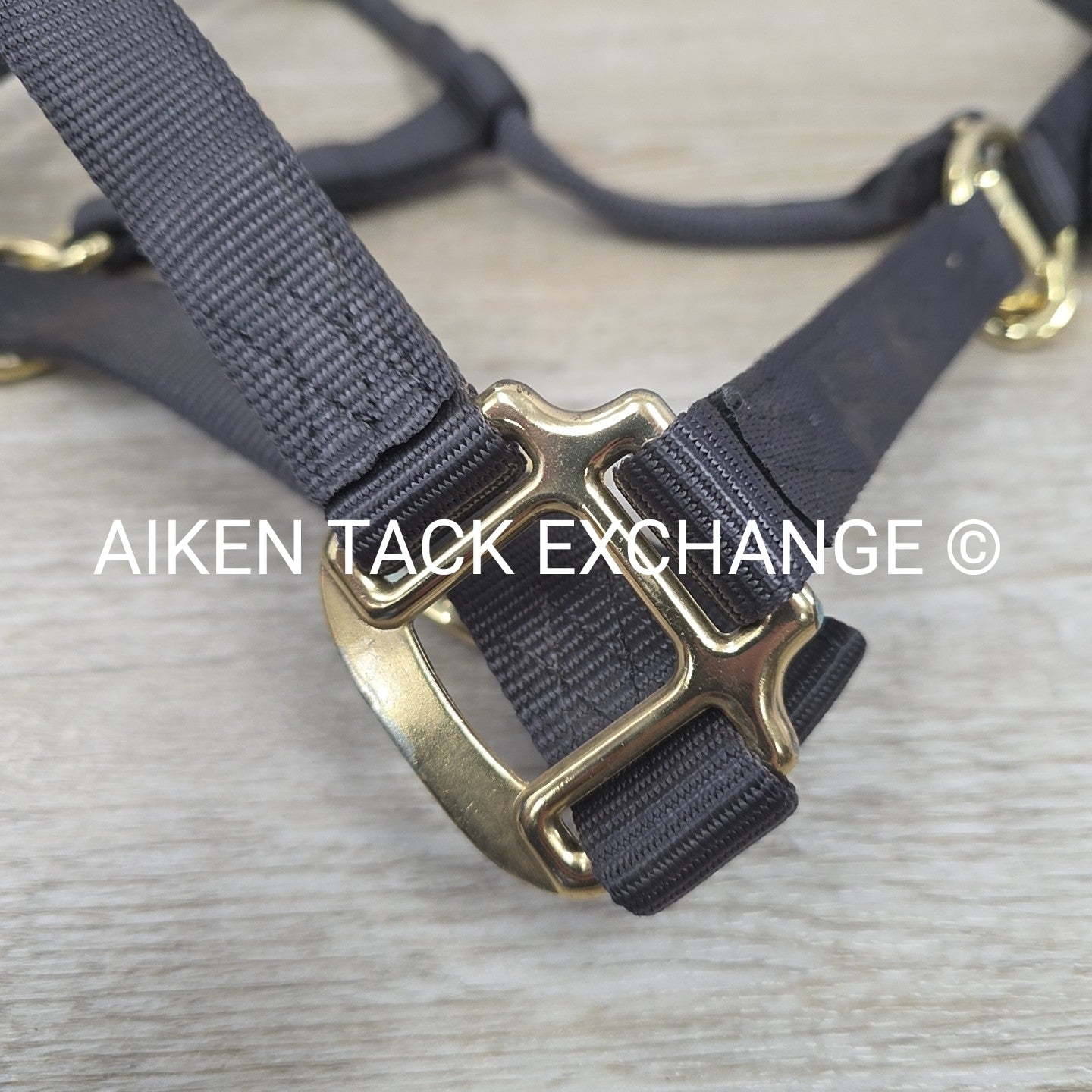 Nylon Halter, Size Medium