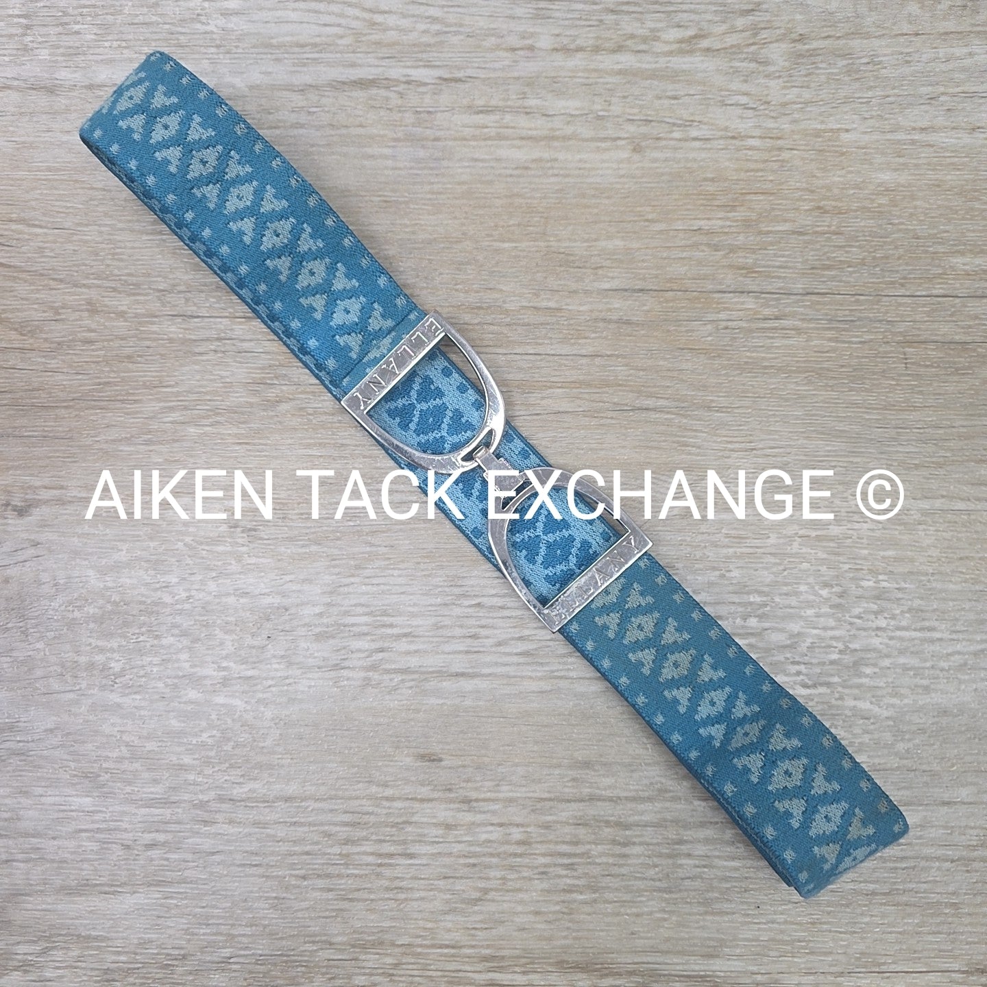 Ellany Silver Stirrup Elastic Belt
