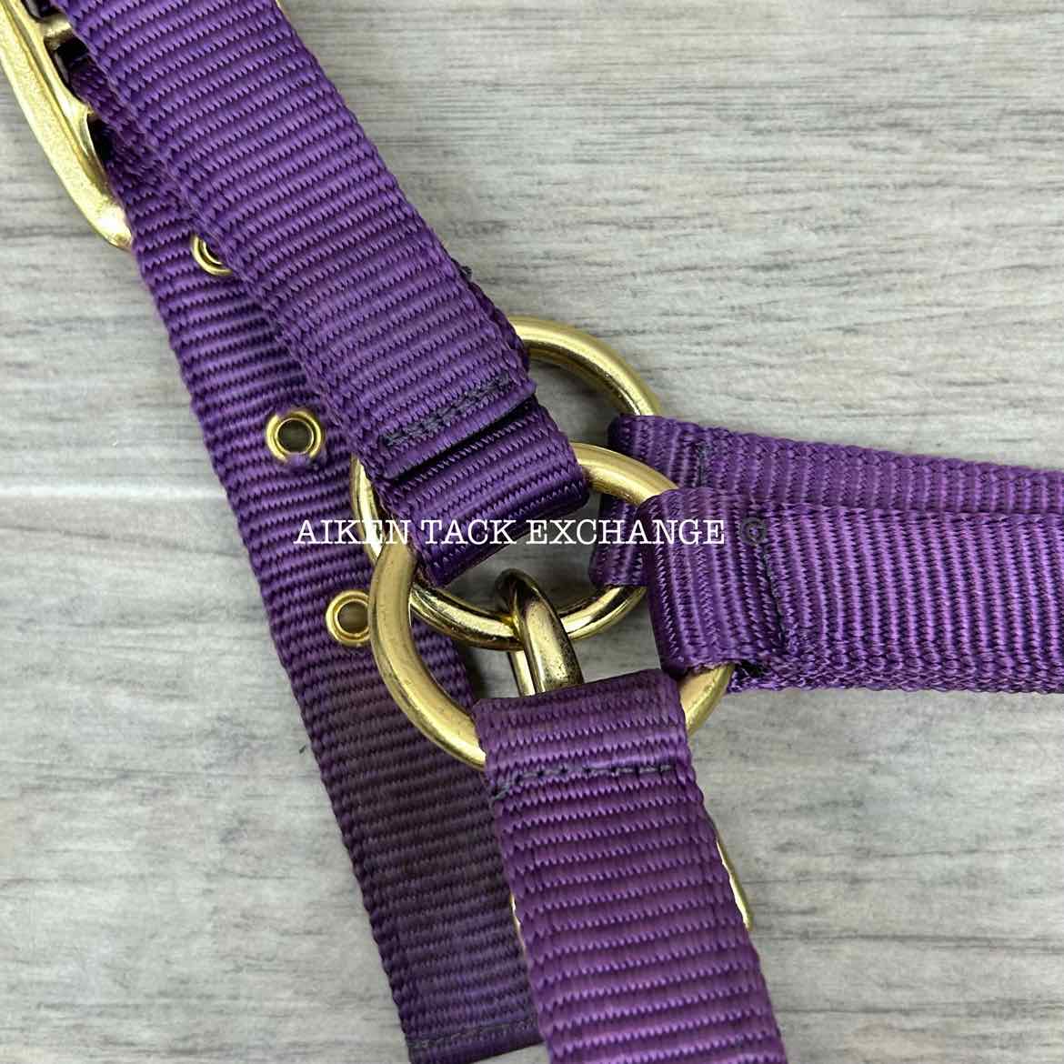 Dover Saddlery Heavy Nylon Halter, Oversize