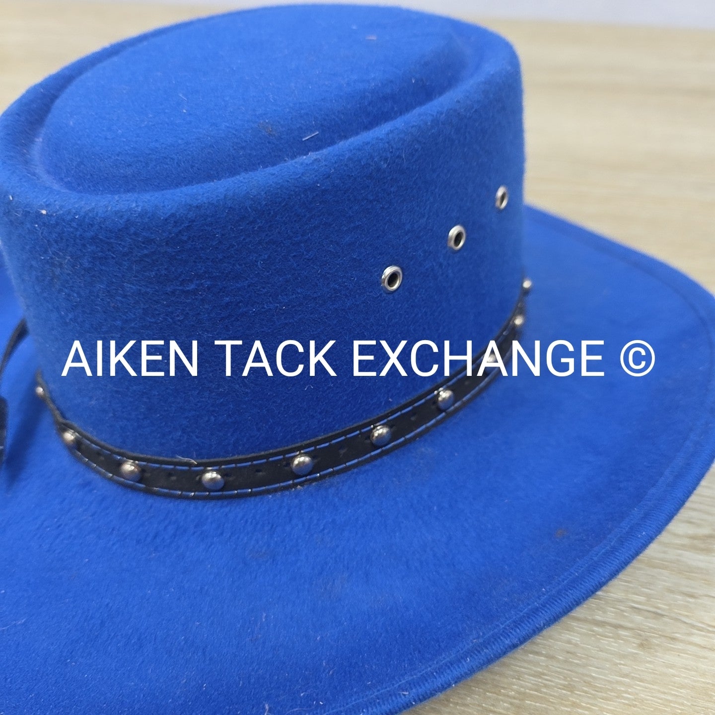 Western Express Children's Felt Hat