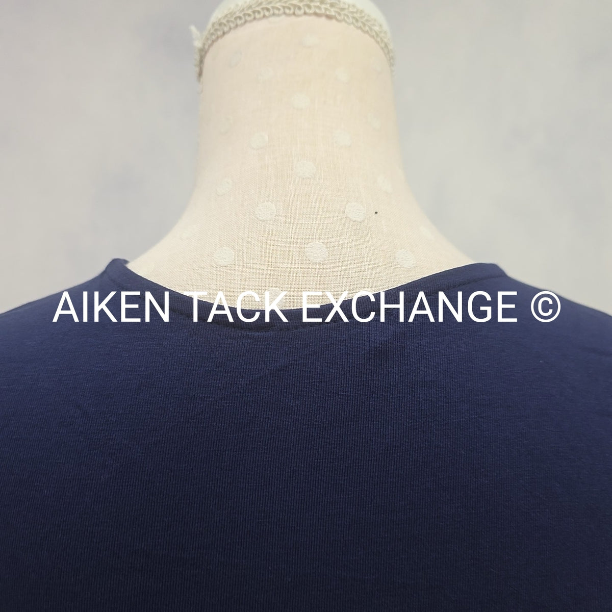 Venus T-Shirt Dress, Size X-Small