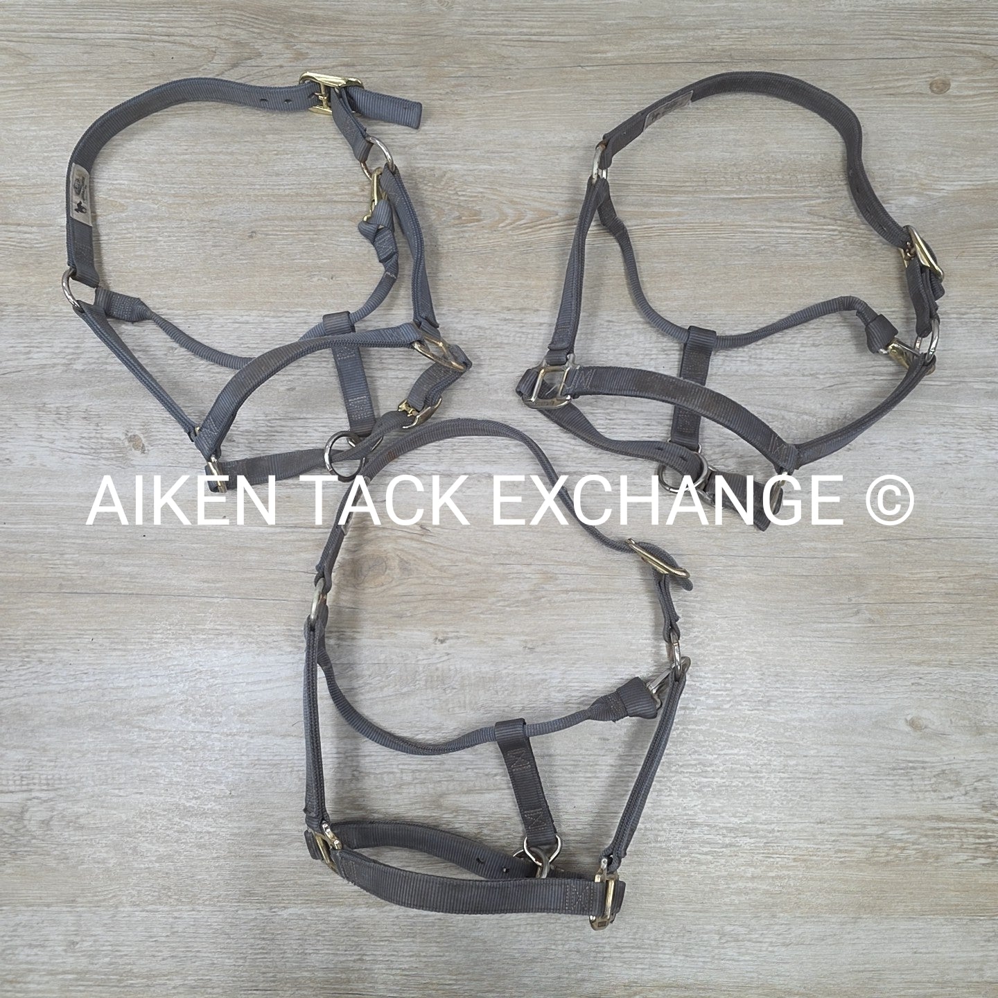 BARGAIN BUNDLE 3 Weaver Leather Nylon Halters, Size Horse