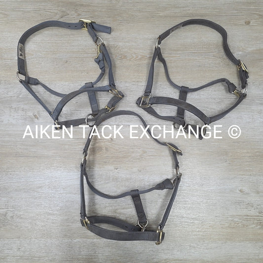 BARGAIN BUNDLE 3 Weaver Leather Nylon Halters, Size Horse