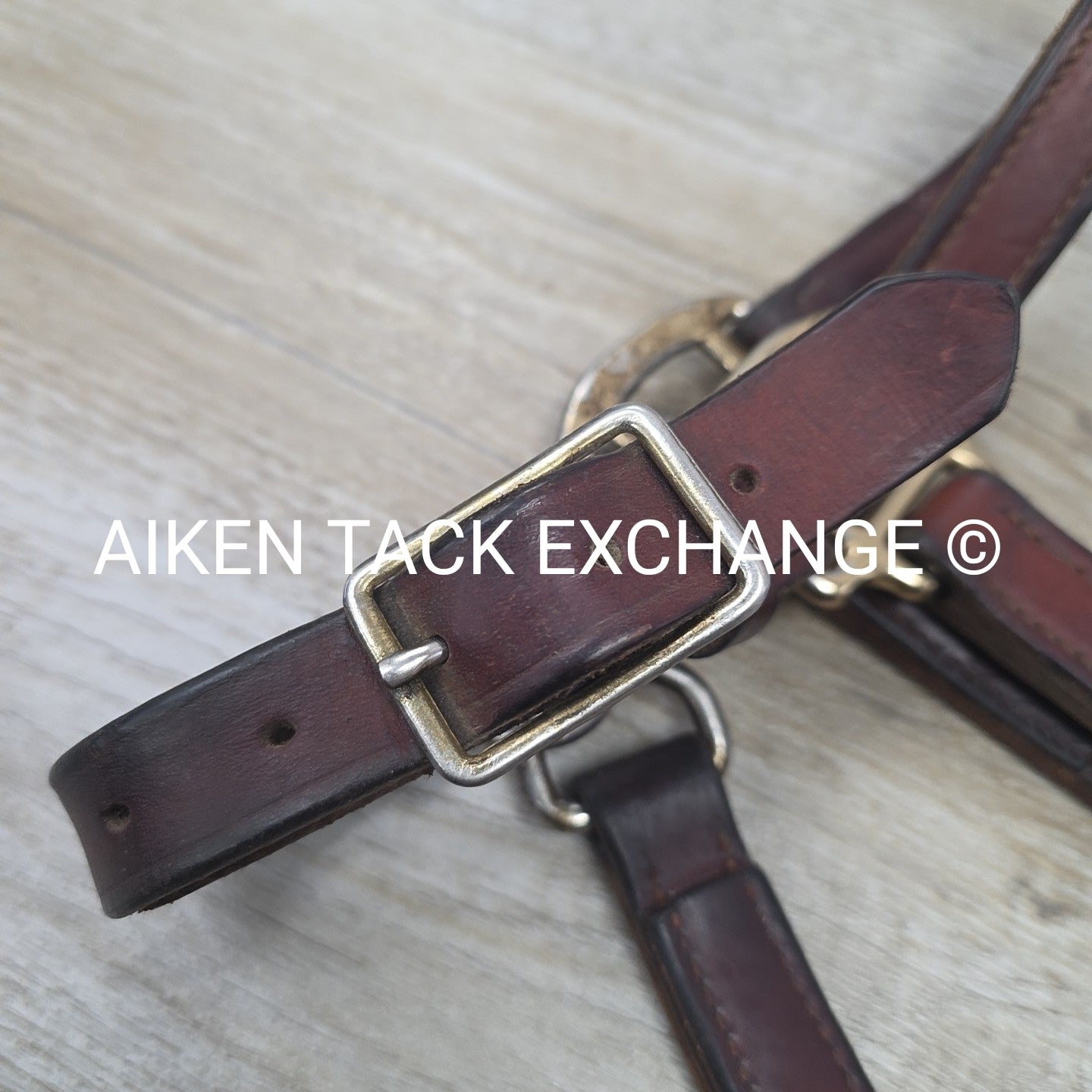 Perri's Leather Halter, Brown, Size Full