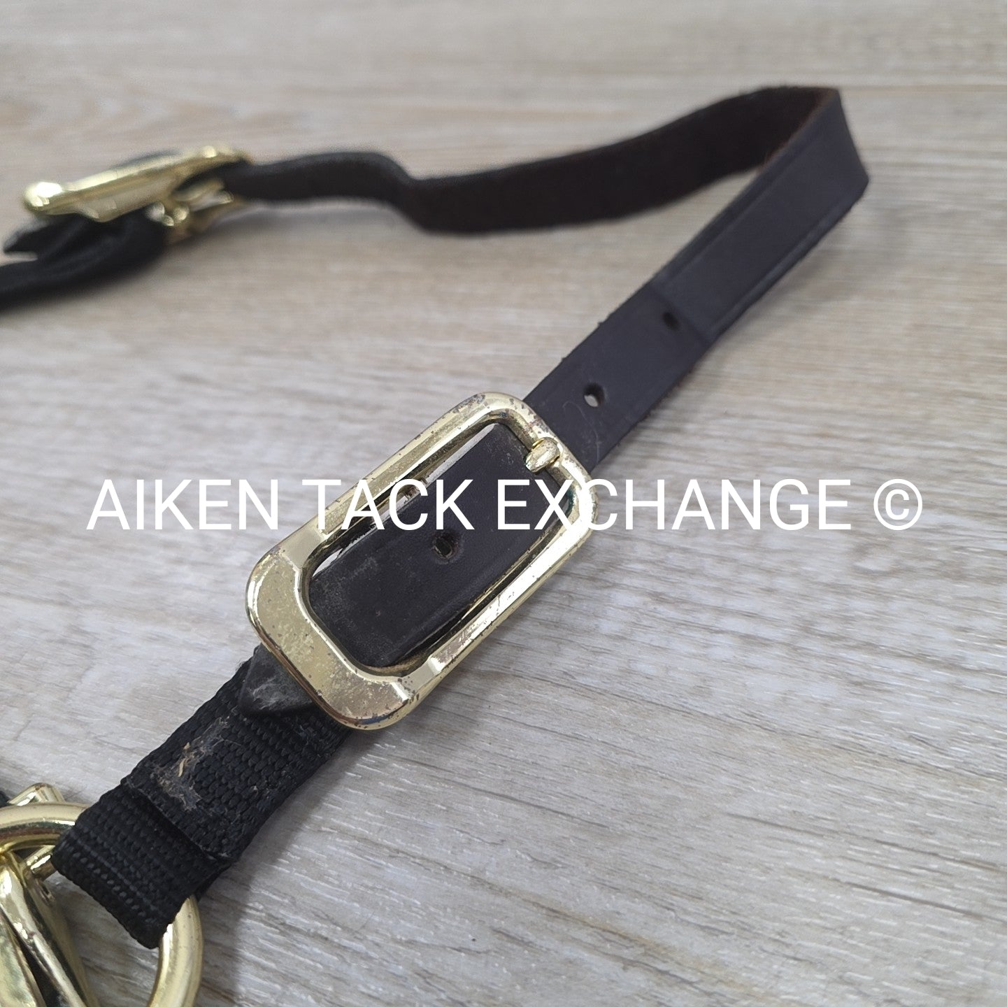 BARGAIN BUNDLE: 2 Nylon Breakaway Halters, Size Weanling / Pony