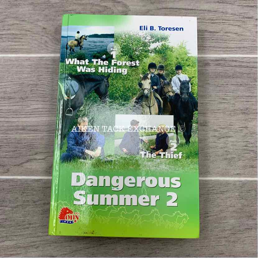 Dangerous Summer 2 by Eli B. Toreson