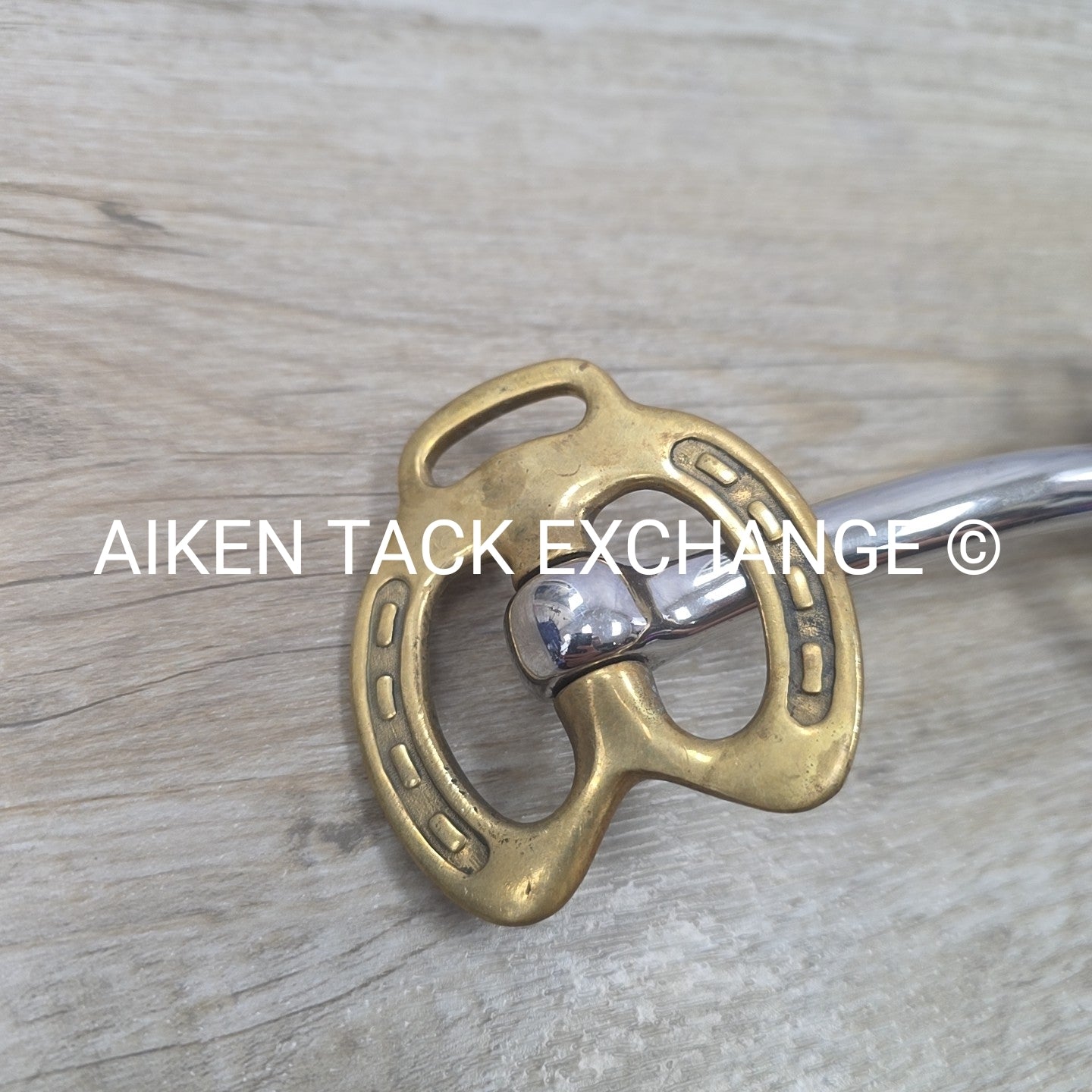 Mullen Mouth Horseshoe Stallion Bit 4.5"