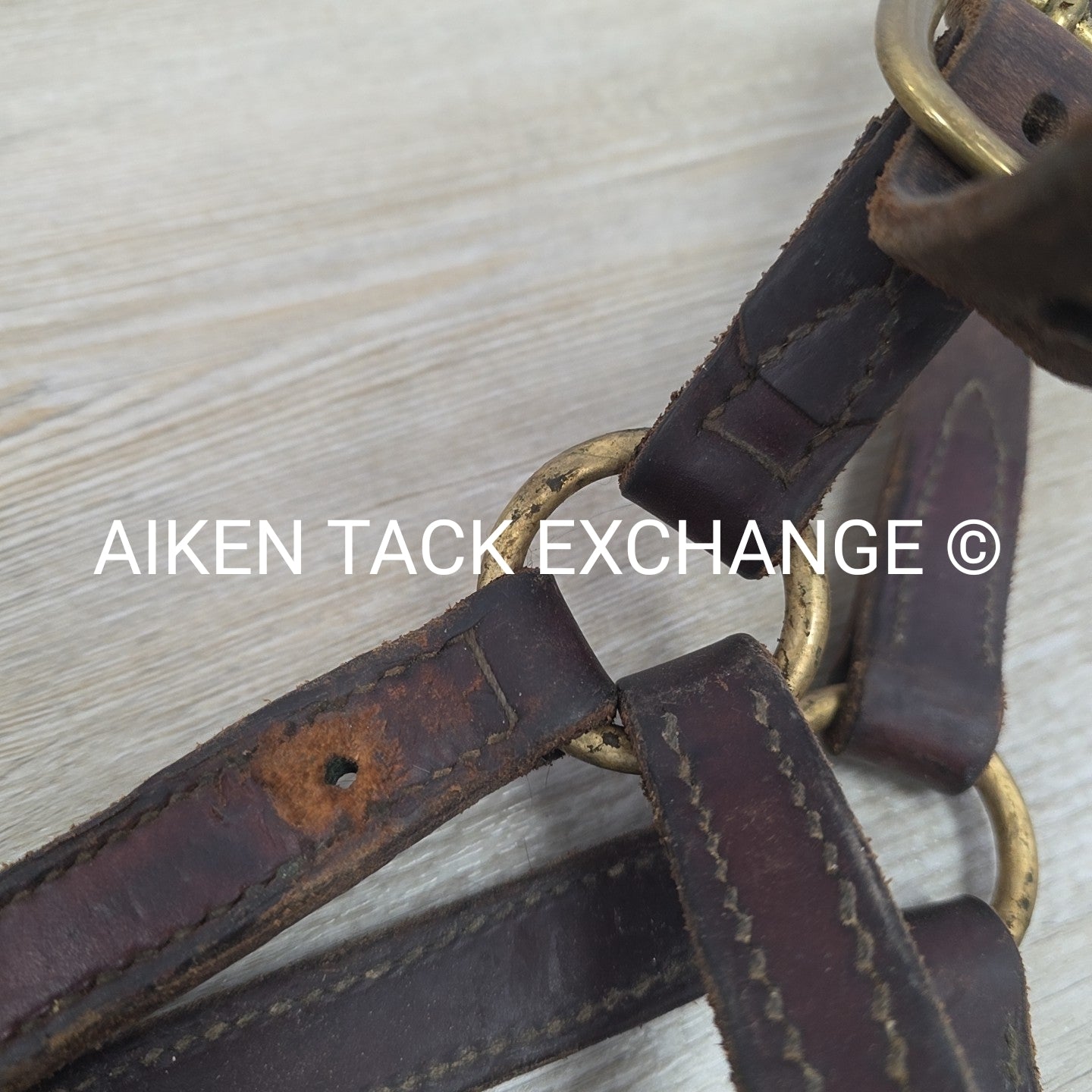 BARGAIN BUNDLE: Weaver Nylon Halter & Leather Halter, Size Full