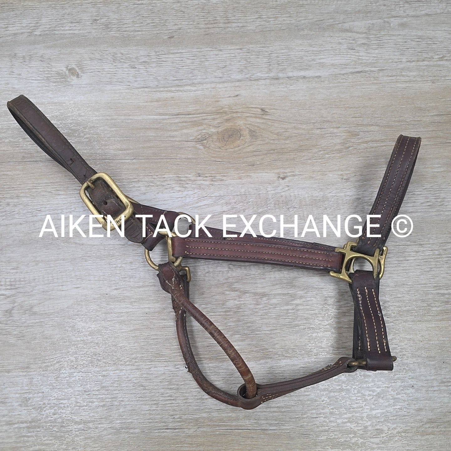 Walsh Triple Stitched Leather Halter, Has Name Plate, Size Cob