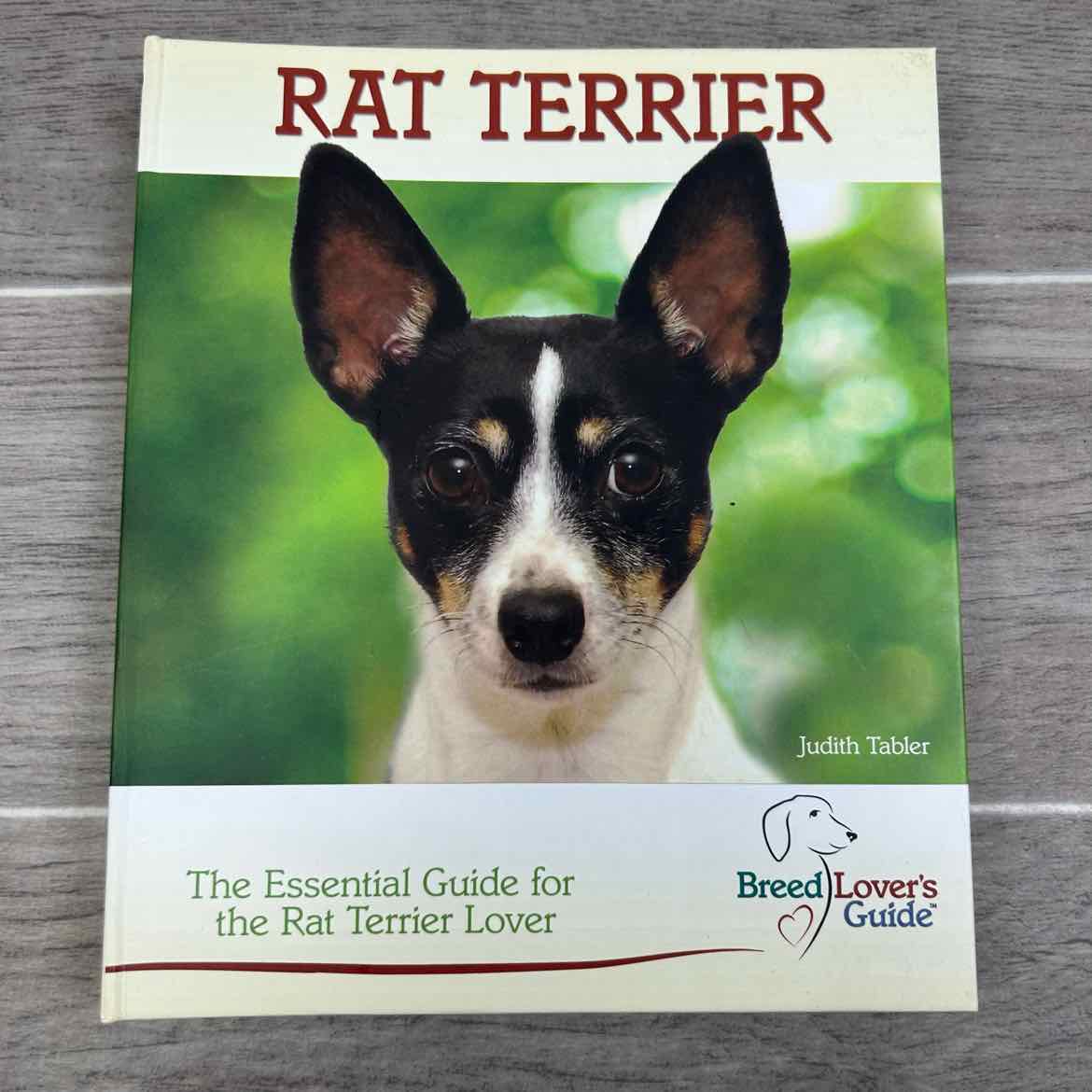 Rat Terrier by Judith Tabler