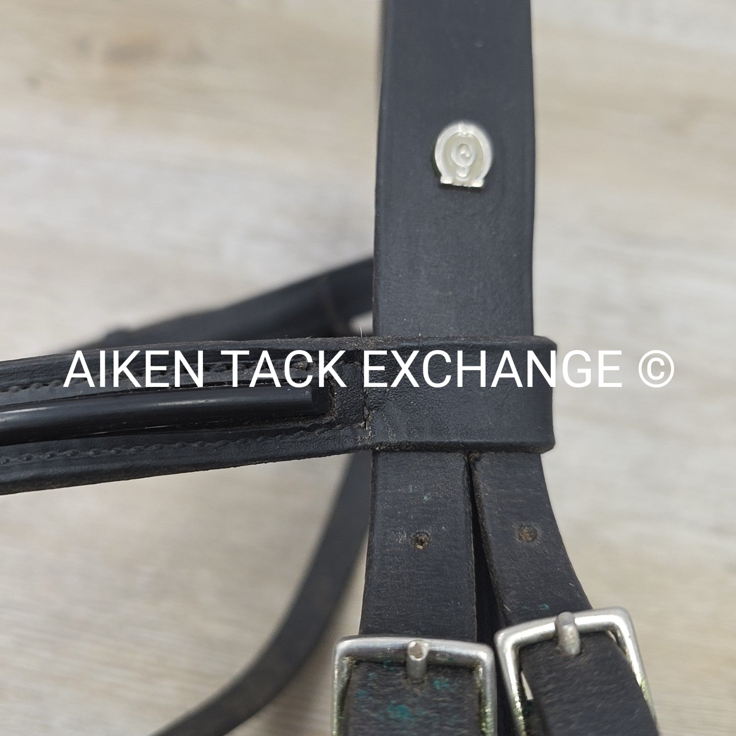 BARGAIN BUNDLE: Otto Schumacher Flash Bridle with Passier Cotton Web Reins, Blac